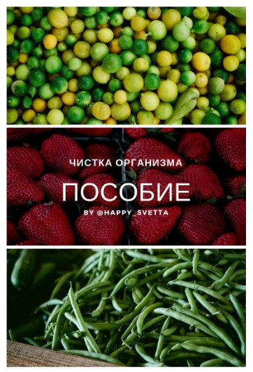 [Happy_svetta] Чистка организма. Пособие (2021)_0.jpg